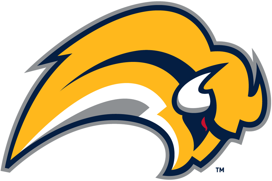 Buffalo Sabres 2006-2010 Primary Logo iron on heat transfer...